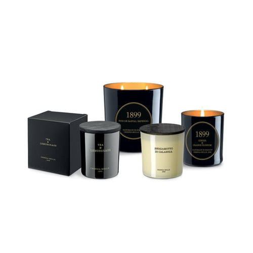 Cereria Molla 1899 Vela Tea and Lemongras Premium Duftkerze